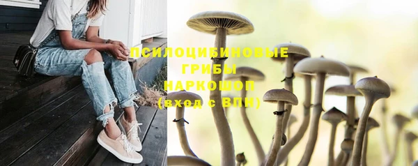 mix Магас