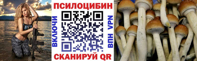 гидра зеркало Светлогорск Псилоцибиновые грибы Cubensis